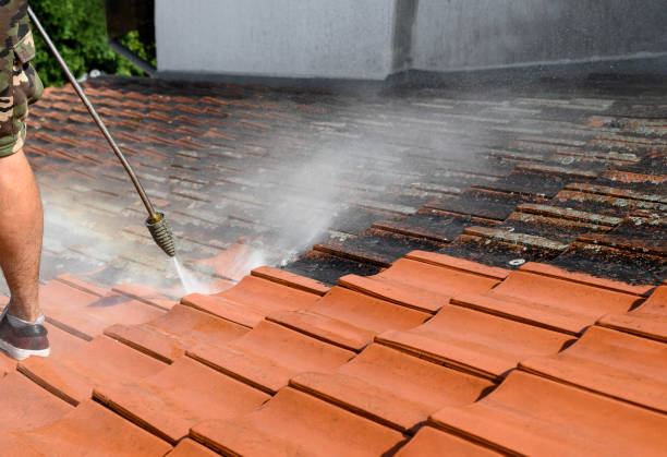 Roof Power Washing Services in South Monrovia Island, CA