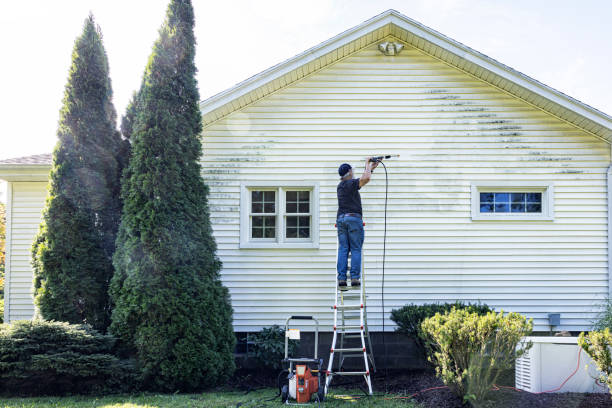 Local Pressure Washing Services in South Monrovia Island, CA